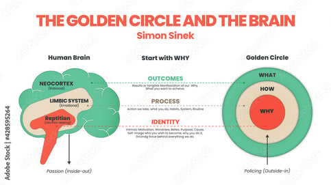 Golden Circle Brain