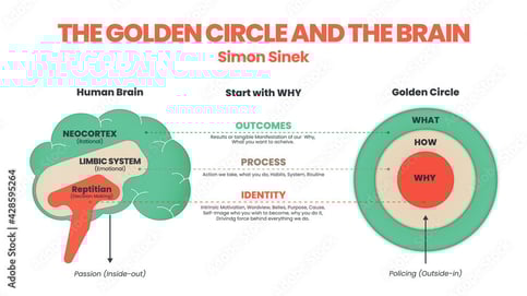 Golden Circle Brain